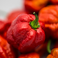 Hot Peppers