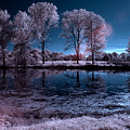 Lake St. Clair Metropark South Marsh IR1