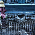 Michigan Grand Central Station Reflection in Fire Hydrant Puddle