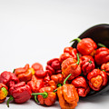 Tipped Over Bowl of Hot Peppers 2